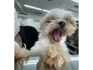 生徒が撮影！送ってくれた写真です☆